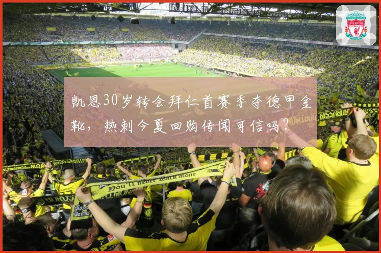 凯恩30岁转会拜仁首赛季夺德甲金靴,热刺今夏回购传闻可信吗?
