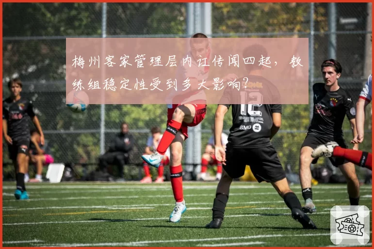 梅州客家管理层内讧传闻四起,教练组稳定性受到多大影响?