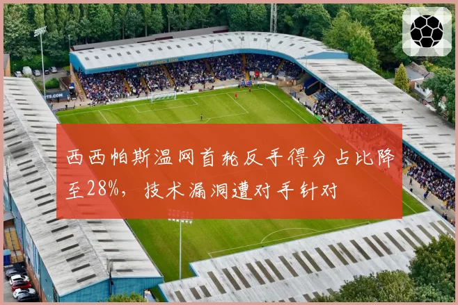 西西帕斯温网首轮反手得分占比降至28%，技术漏洞遭对手针对