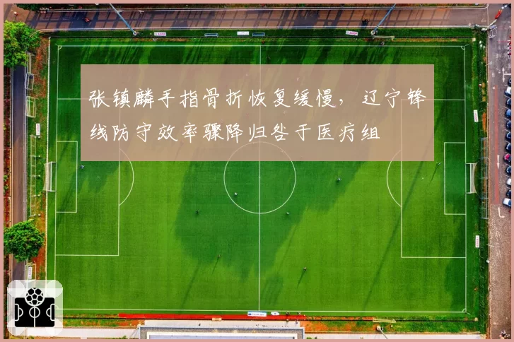 张镇麟手指骨折恢复缓慢，辽宁锋线防守效率骤降归咎于医疗组